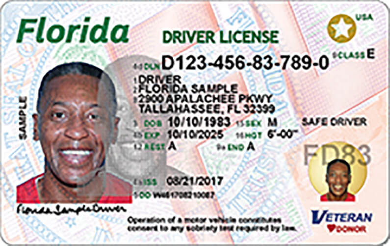 How to check points on license for free